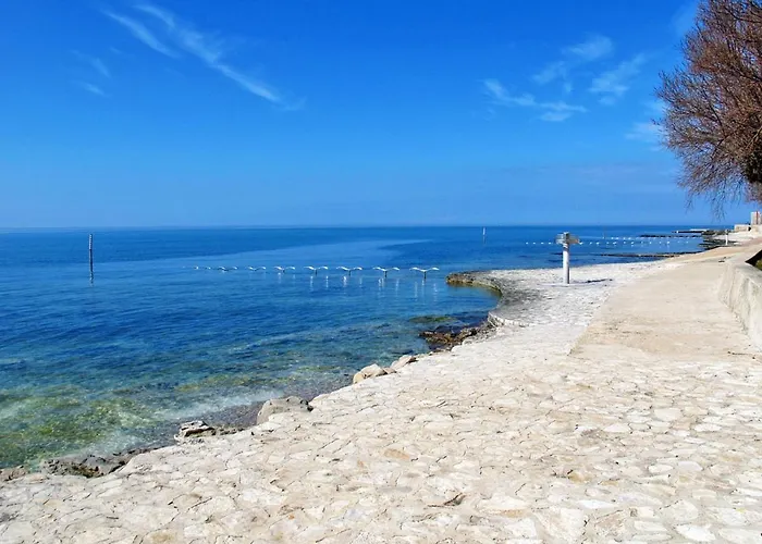 Vakantiehuis Jadranka By Interhome Novigrad Istria